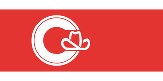 Illustration for article titled Are These The Ugliest City Flags on Earth?
